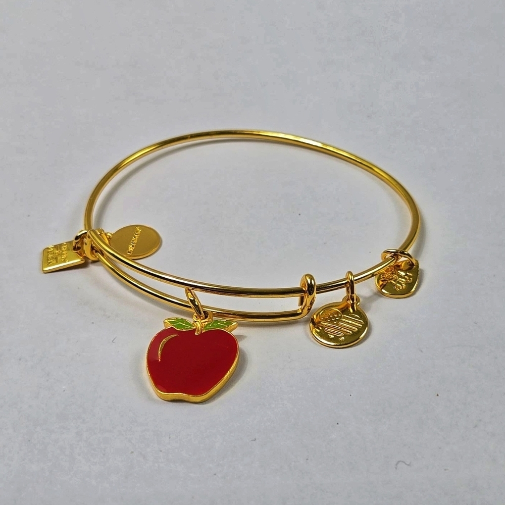 Alex And Ani Gold Tone Red Apple 2017  Charm Bracelet - Picture 13 of 15